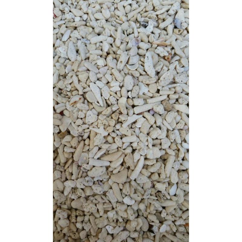 60 kg of ocean coral sand