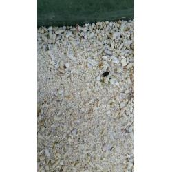 60 kg of ocean coral sand
