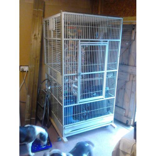 parrot cage