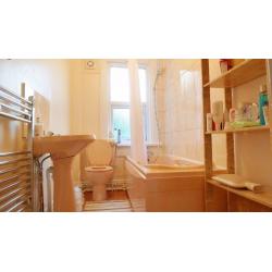 Female London House Flat Share, Double Size Room Single Price -- mint pie