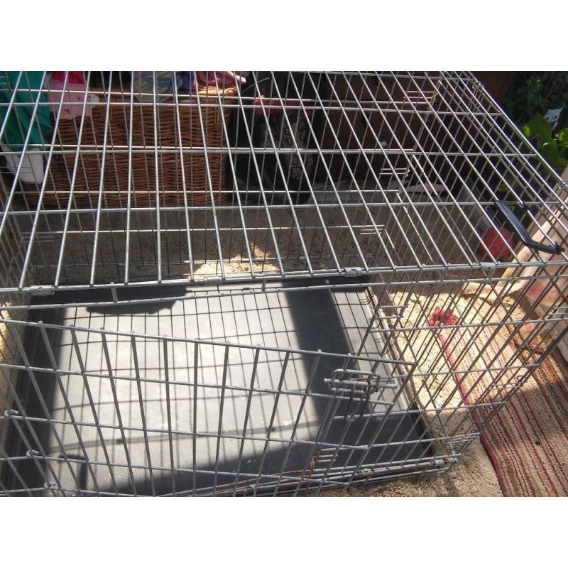 Large Dog Crate with Removable Plastic Tray