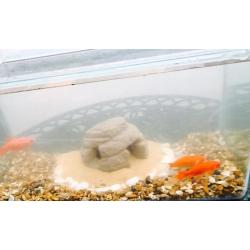Aquarium for sale