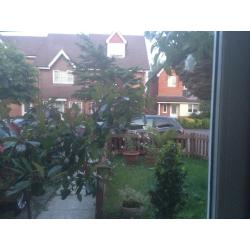 2 bedroom semi detached house Worcester Park