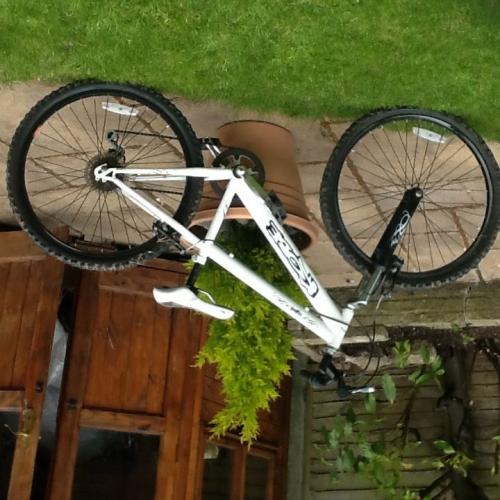 Push bike