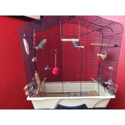 2 budgies and cage