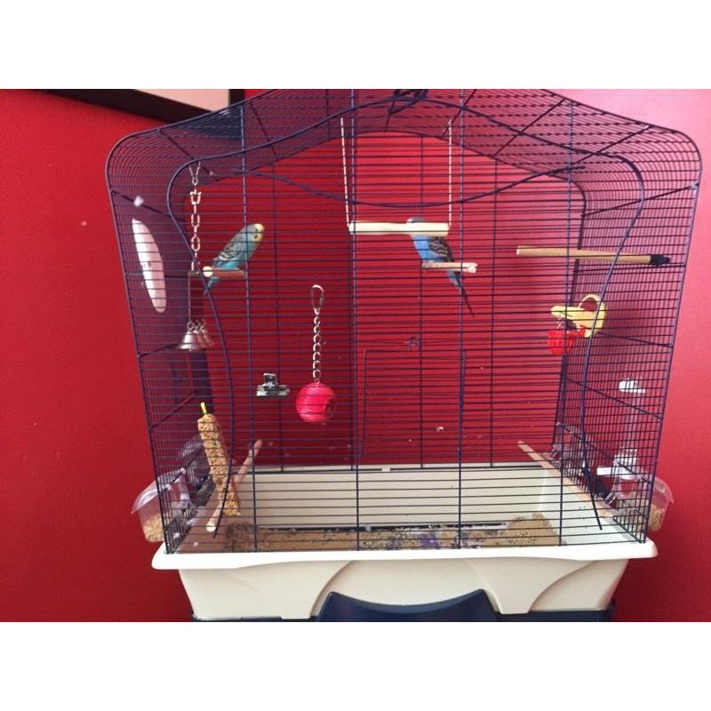 2 budgies and cage