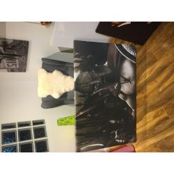 300 Large Canvas for sale