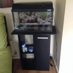 Fish tank