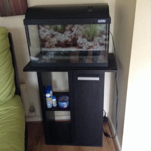 Fish tank