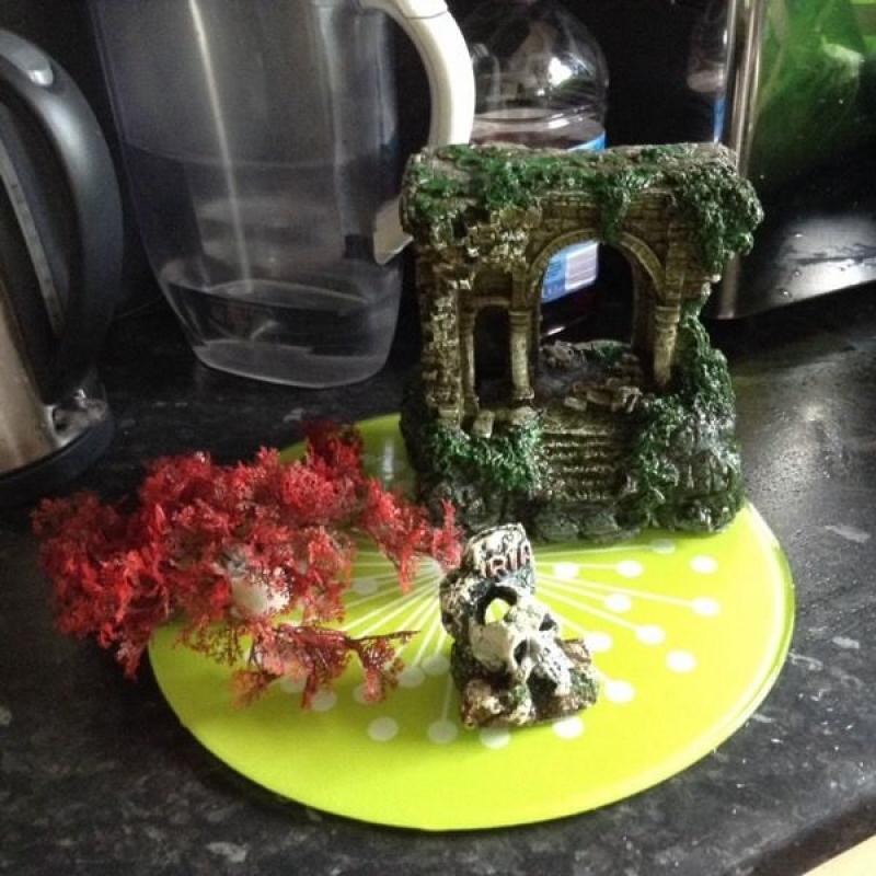 Fish tank