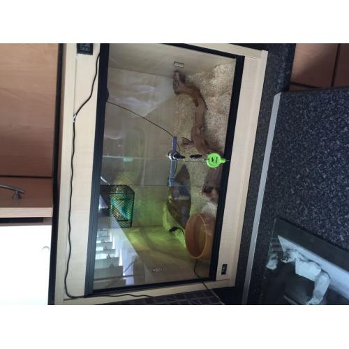 2ft bs aquatics Viv and accessories
