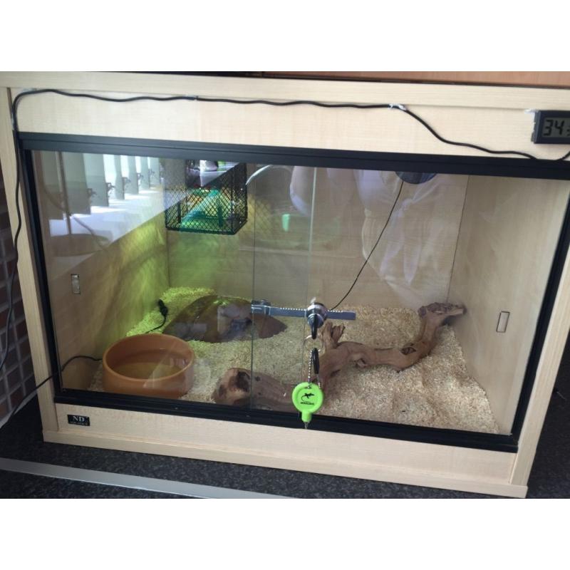 2ft bs aquatics Viv and accessories