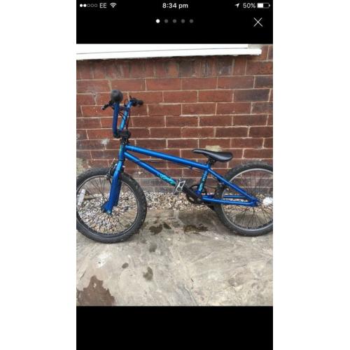 Blue bmx mark Hoffman
