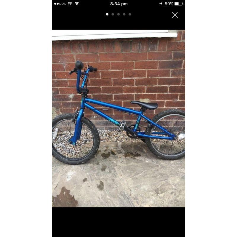 Blue bmx mark Hoffman
