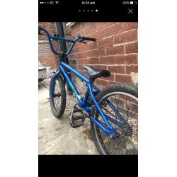 Blue bmx mark Hoffman