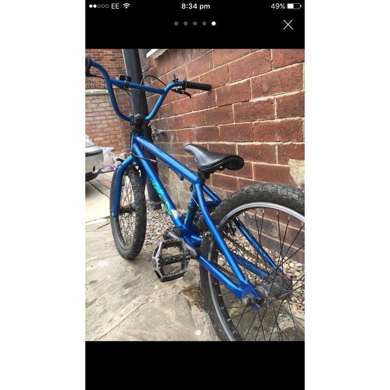 Blue bmx mark Hoffman