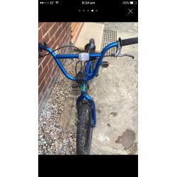 Blue bmx mark Hoffman