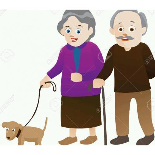 Domestic helper/carer