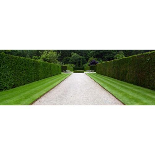 Garden Specialists: Lawn & Hedge Cutting Services
