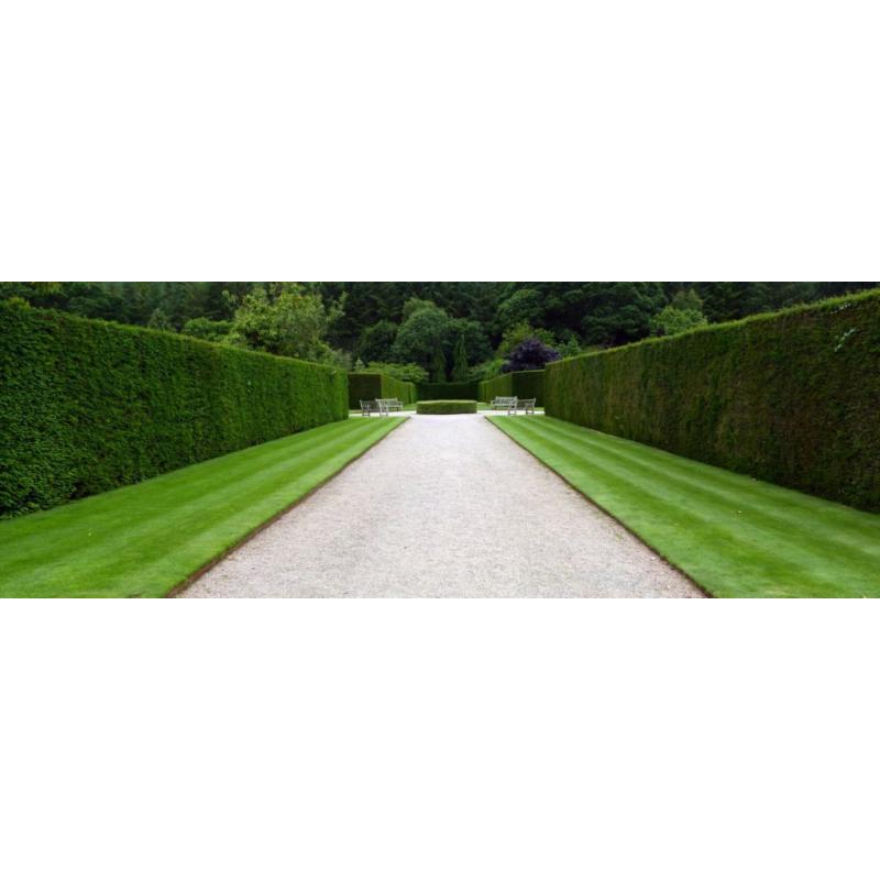 Garden Specialists: Lawn & Hedge Cutting Services