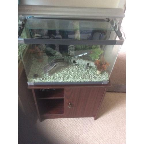 Full fish tank set up