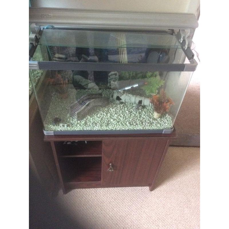 Full fish tank set up