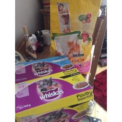 Kitten food