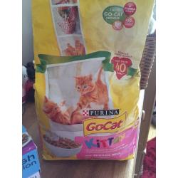 Kitten food