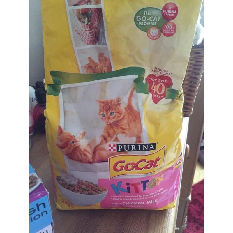 Kitten food