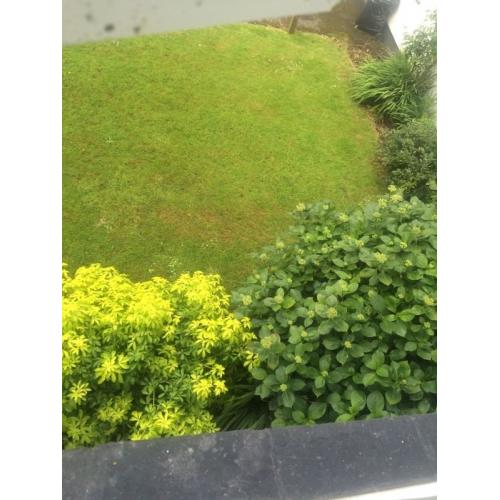 Looking for room to rent around Morden ...