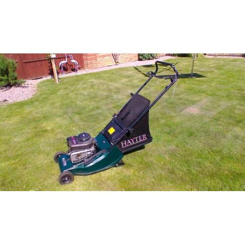 Hayter Hawk Rotary Petrol Lawn Mower for Sale
