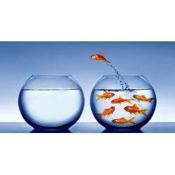 Life Insurance Sales Executive Position Available