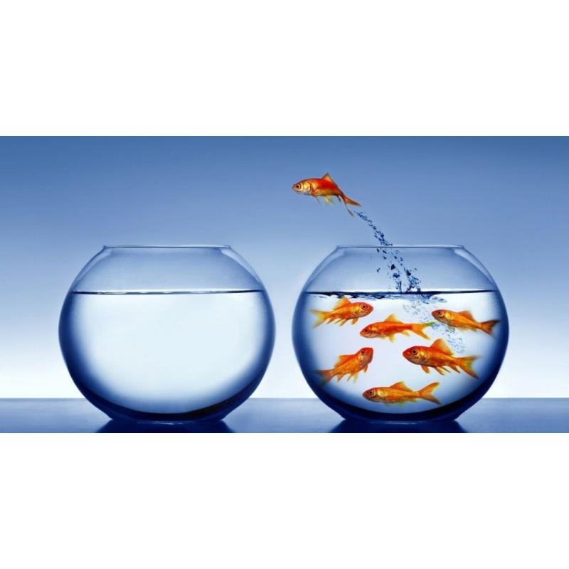 Life Insurance Sales Executive Position Available