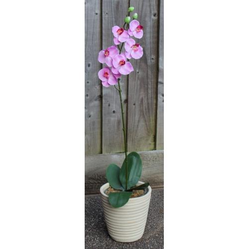 Orchid - Fake Plant