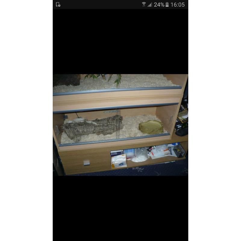 3 ft viv / vivarium