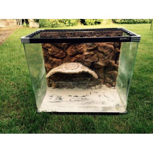 Reptile tank