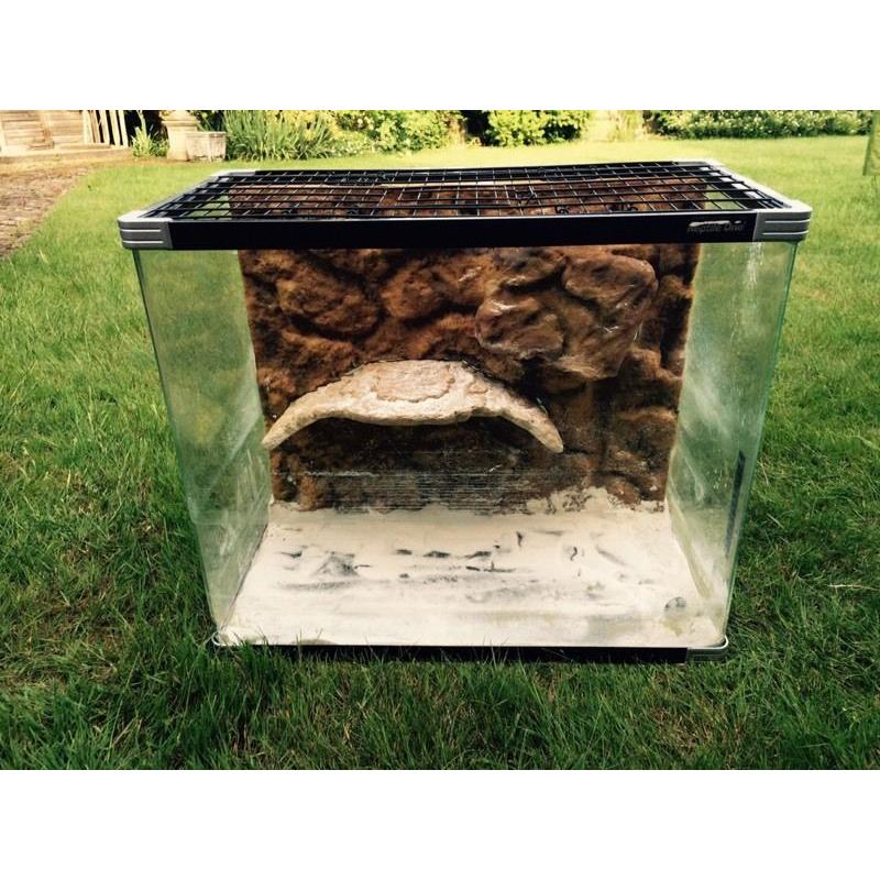 Reptile tank