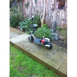 Petrol goped go ped