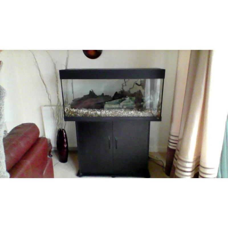Tropical fish tank, cabinet and accessories