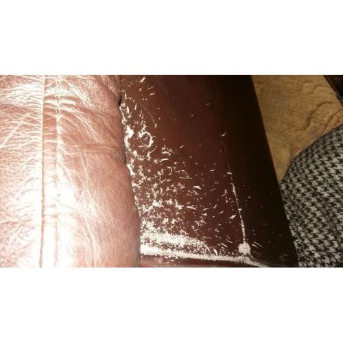 free to collector, Ikea sofa bed