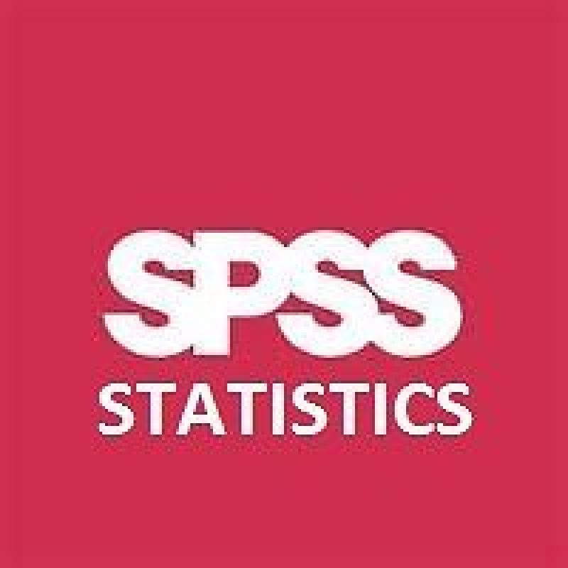 Data analysis, Statistics, SPSS Statistical analysis, MINITAB, Excel, NVIVO