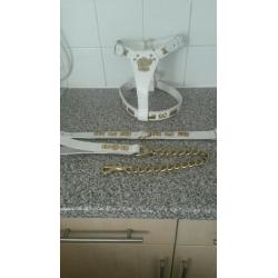 White leather harness, collar and lead