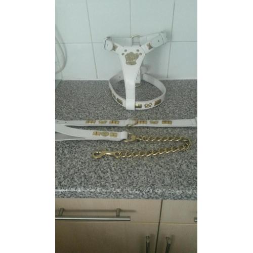 White leather harness, collar and lead