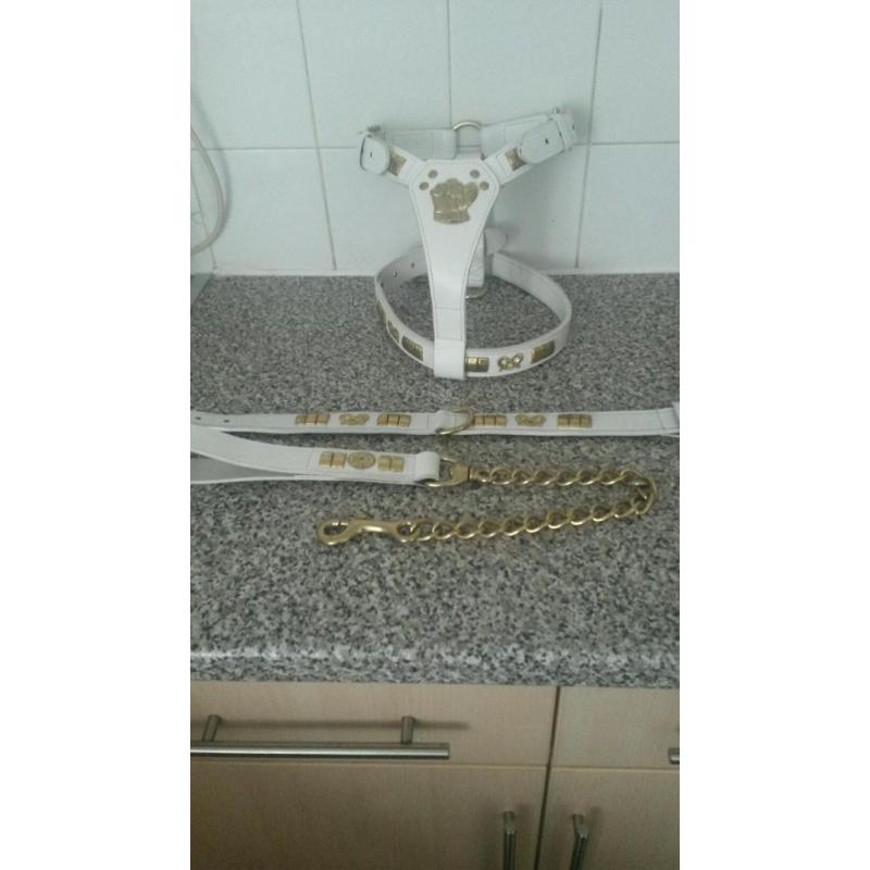 White leather harness, collar and lead