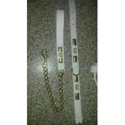 White leather harness, collar and lead