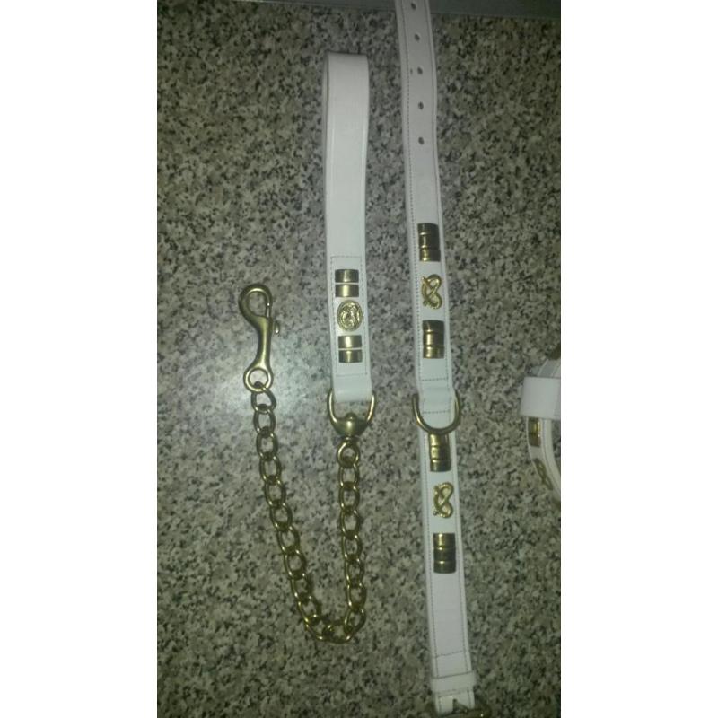 White leather harness, collar and lead