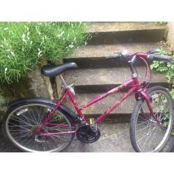 woman mountain bike