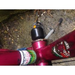 woman mountain bike