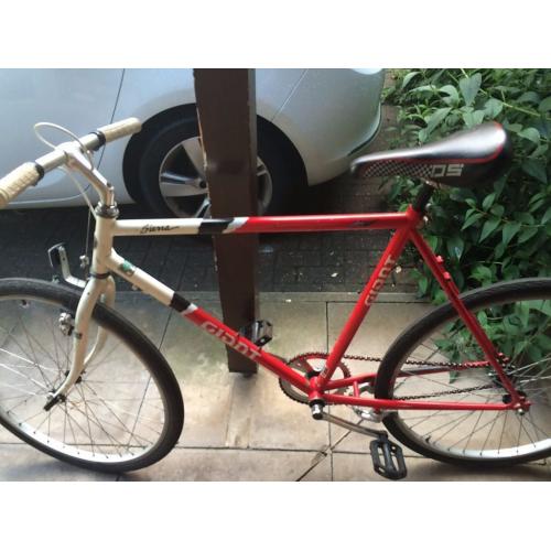 Giant single speed bike for sale