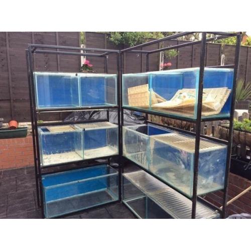 3ft fish tank stripped